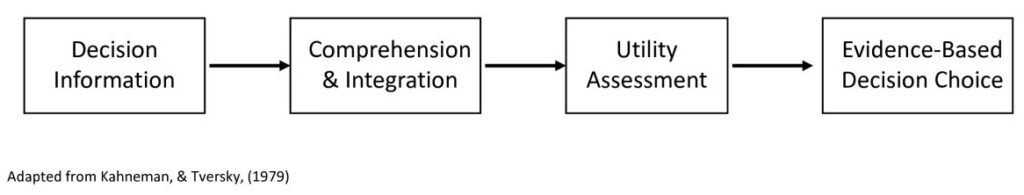 Evidence-Based Rational Choice Decision Model.
