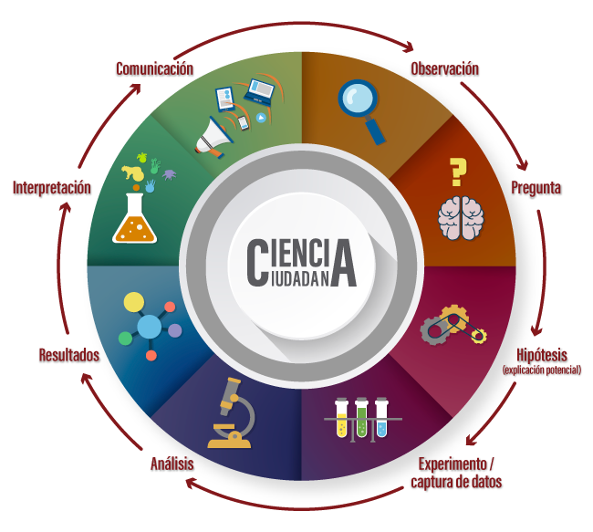 El cercle de la ciència ciutadana